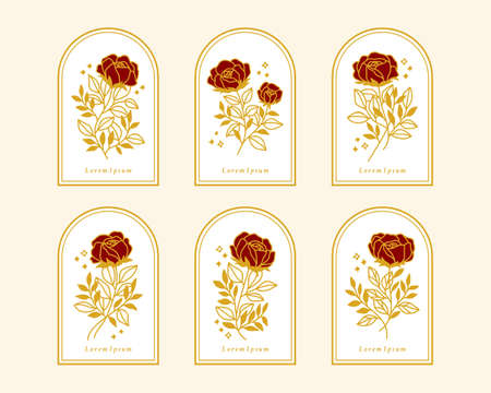 Set of hand drawn vintage gold botanical rose flower elements for feminine logo or beauty brandのイラスト素材