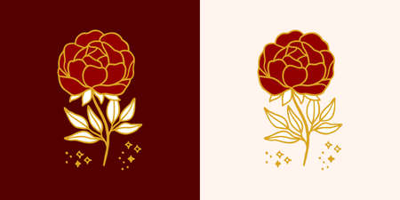Hand drawn vintage botanical rose flower logo and feminine beauty brand elementのイラスト素材