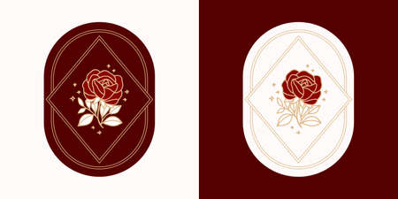 Hand drawn vintage botanical rose flower logo template and feminine beauty brand element setのイラスト素材