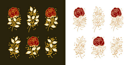 Set of hand drawn vintage botanical peony, rose flower, and floral leaf branch line art elementsのイラスト素材