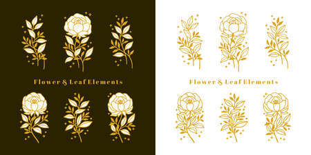 Set of hand drawn vintage botanical peony, rose flower, and floral leaf branch line art elementsのイラスト素材