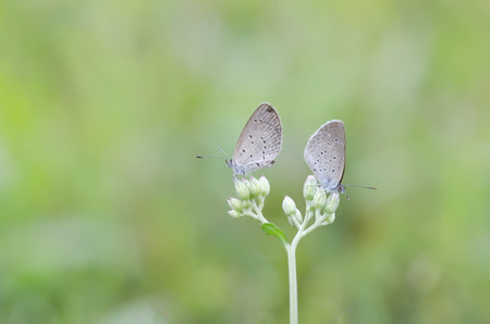 two is betterの写真素材