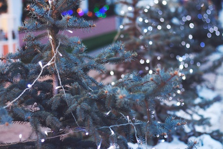 fairytale lights