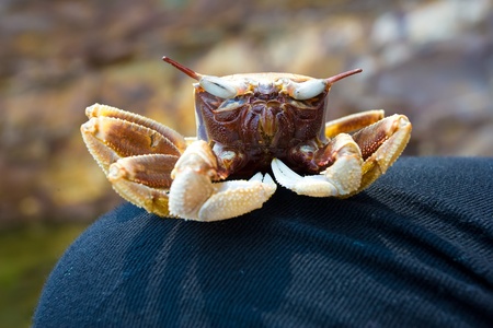 Relaxed の写真素材