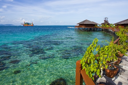 The beauty of marine life in Mabul Islandの写真素材