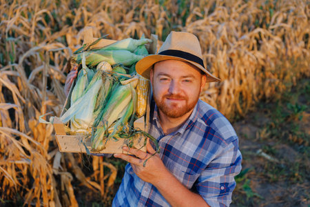 A farm worker holds box with crop of corn on shoulder, man smiles, front view, looking at camera.