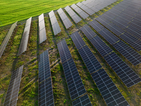 A wide-angle shot of solar panels set amidst a lush green forest. The contrast between nature and...
