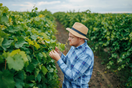 Concentrated guy checking bush leaves under cloudy skyの写真素材