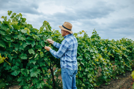 Concentrated guy checking bush leaves under cloudy skyの写真素材