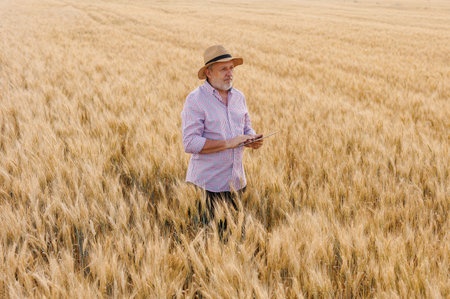 An outdoor shot of a cheerful 50s man, an experienced agronomist, confidently using a digital tablet to access modern technologies and optimize crop production in an agricultural field.の写真素材