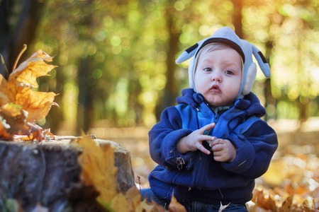 cheerful smiling little boy in the autumn park.の写真素材