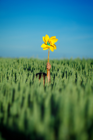 Child hands holding yellow pinwheel against blue sky and green fieldの写真素材