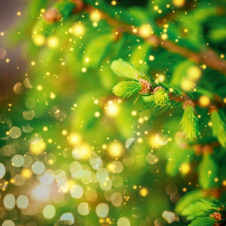 Closeup of Green Christmas-treewith twinkle boke . Christmas background.