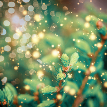 Closeup of Green Christmas-tree. Christmas background.Toned retro imageの写真素材