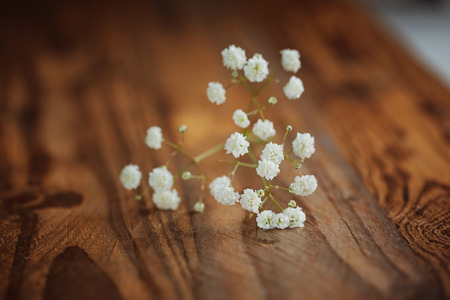 Bunch of white fowers gypsophila on a wooden background, selective focusの写真素材
