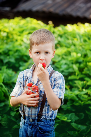 Cute little boy eating a strawberry in summer gardenの写真素材