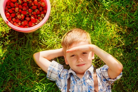 Child eating strawberry in summer day. Kid with full basket fruit relaxing on a grass.の写真素材