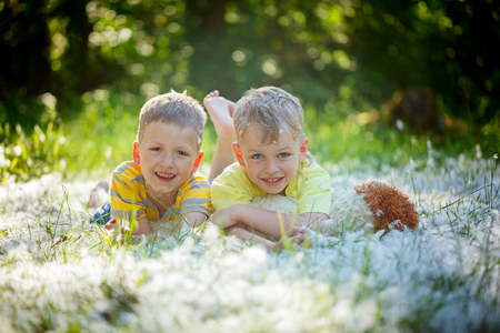 Two little boys friends in  hugging and lying on grass in summer  garden. Brother love. Concept friendshipの写真素材