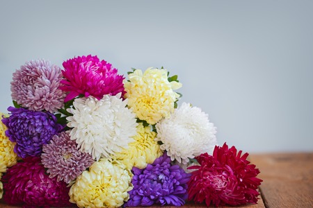 Colorful Aster flowers on wooden background. Callistephus chinensisの写真素材