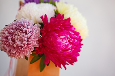 Beautiful colorful aster flower bouquet. Soft focus.の写真素材