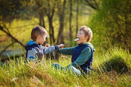 Two boys holding stick and ready for eating roasted marshmallows in spring sunny day.の写真素材