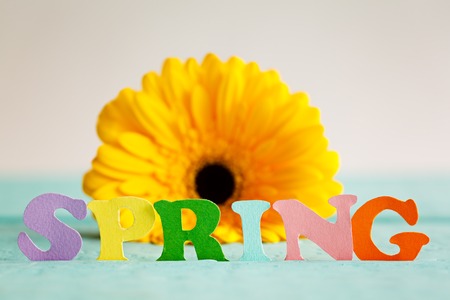 Spring paper word with yellow flower on background. Hello spring. Spring wallpaperの写真素材
