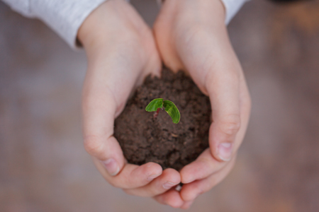 Kid holding new sprout in hands. Symbol of new life and ecology conceptの写真素材