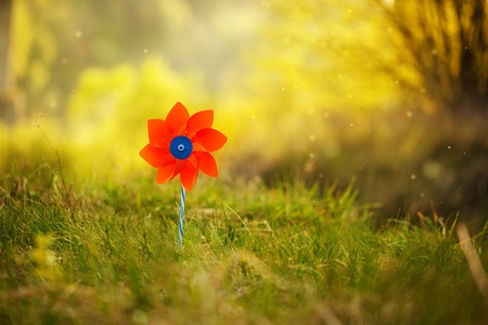 One orange pinwheel against nature background in sunny summer day.の写真素材