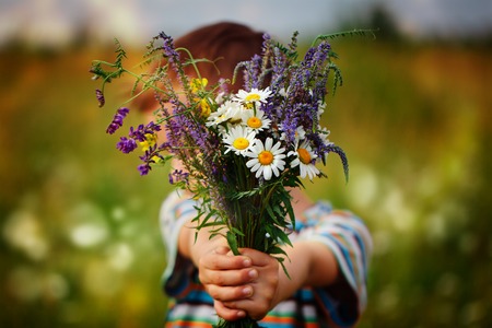Little kid boy holding bouquet of fields flowers. Child giving flowers.の写真素材