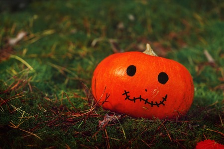 Halloween pumpkin on nature background. Holiday Halloween concept.の写真素材