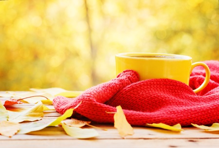 Yellow cup of hot tea or coffee in cozy red sweater on nature background. Concept autumn mood.の写真素材