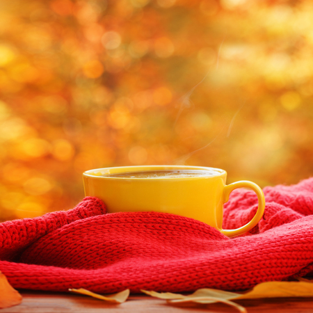 Yellow cup of hot tea or coffee in cozy red sweater on nature background. Concept autumn mood.の写真素材