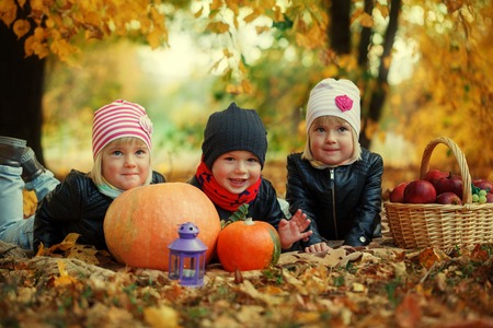 Three friends kids lying on autumn leaves with pumpkins and apple.の写真素材