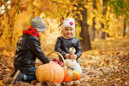 Kids playing in in autumn park with pumpkins and appleの写真素材