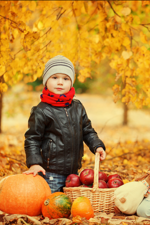 Portrait cute little boy with basket apple and pumpkins in autumn forest.の写真素材