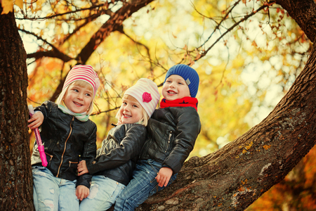 Little smiling kids sitting on the tree in autumn parkの写真素材