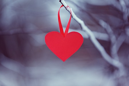 Red paper heart on hanging on a winter branch. Concept Valentines day