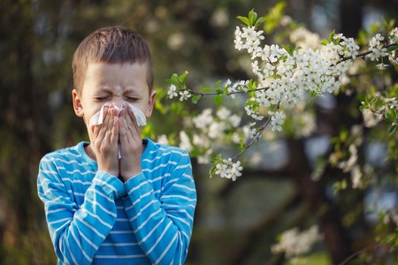 Child having allergy. Boy sitting outdoor with tissue in park near blooming flowersの写真素材
