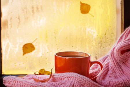 Cup of autumn tea, coffee, chocolate and yellow leaves on rainy window, copy space. Concept bright autumnの写真素材