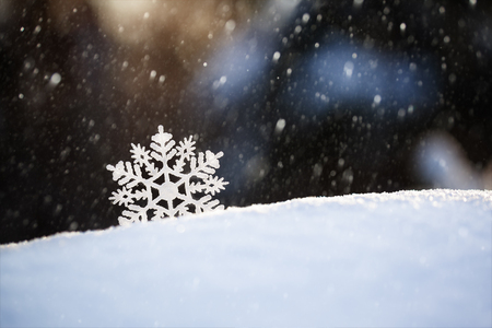 Snowflake on snow. Winter holidays and Christmas background.の写真素材
