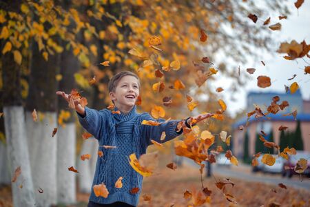 Handsome happy boy throwing the fallen leaves up, playing in the autumn parkの写真素材