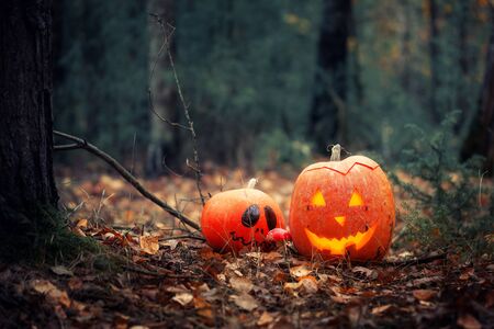 Halloween holiday concept with two scary pumpkin in dark forest. Halloween background with jack o lantern pumpkin.の写真素材