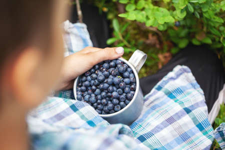 Kid hand holding bowl cup of freshly picked wild blueberries against bokeh green forest backgroundの写真素材