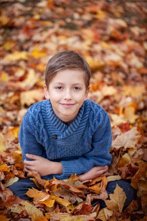 Portrait cute smiling boy sitting in autumn leaves. Happy kid having fun in autumn park on warm fall day.の写真素材