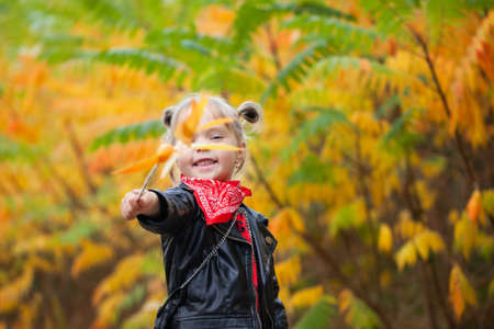 Happy smiling blonde girl holding yellow red leaves in sunny autumn park. Child playing in park at autumn. Kid gathering yellow fall foliage.の写真素材