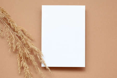 Mockup with empty blank paper and dried pampas grass over pastel beige background. Minimal, stylish,...