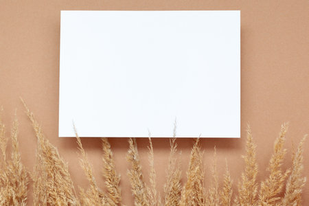 Mockup with empty blank paper and dried pampas grass over pastel beige background. Minimal, stylish, monochrome concept. Flat lay, top view.の写真素材
