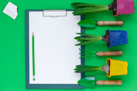 Top view notepad with Gardening tools and pots of hyacinth flowers on green background. Spring garden concept. Layout with free text space flat lay.の写真素材