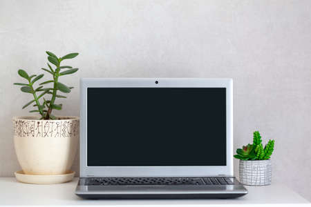 Workplace freelance desktop with open laptop computer and house plants on table. Home office.