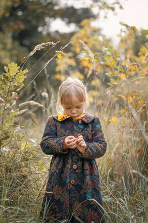 Little cute girl in warm vintage coat in tall grass in autumn forest. Retro conceptの写真素材